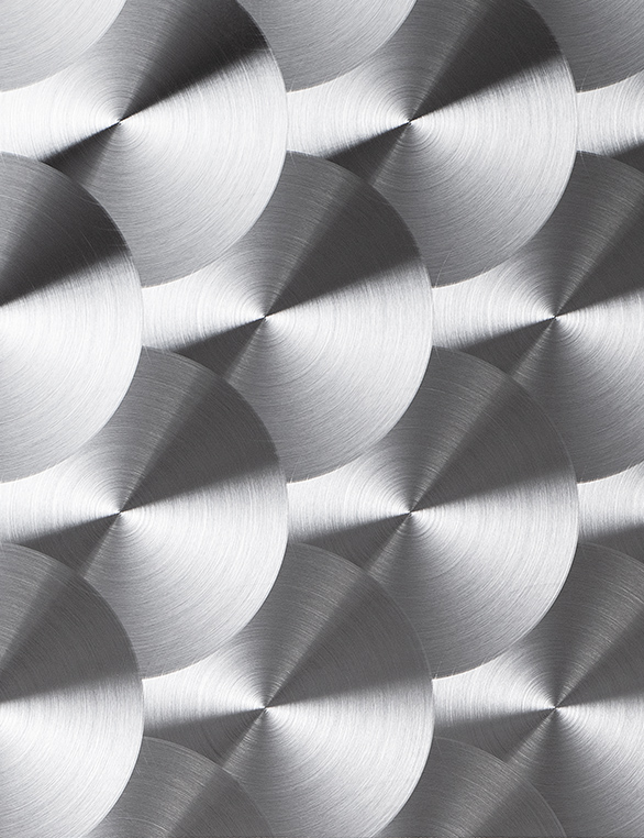 SCALE(スケール/鱗)